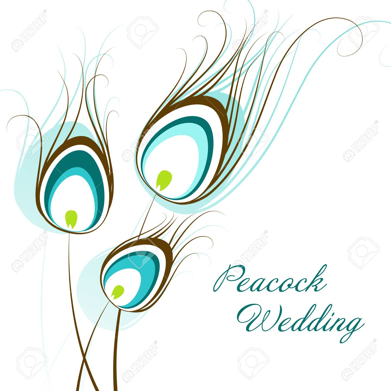 1300x1300 Clipart Of Peacock Feather