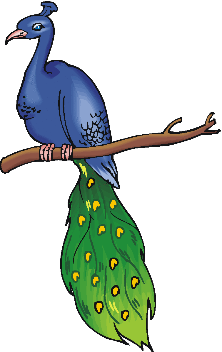 755x1200 Free Peacock Clipart 4