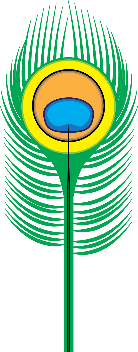 569x1449 Peacock Feather Clip Art Black And White Cliparts