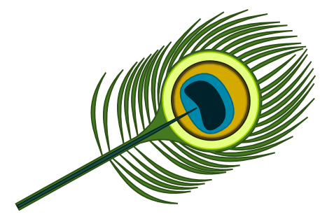 457x313 Peacock Clipart Leaf