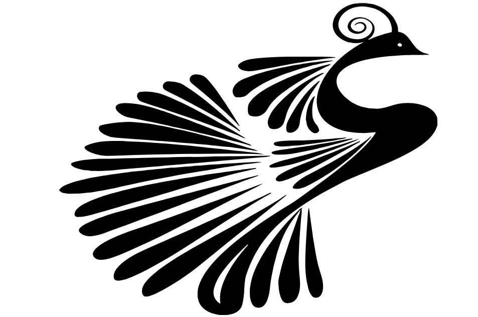 953x632 Top{20}  Peacock Clipart Images With High Resolution Free Download