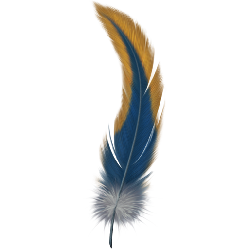 512x512 Feather Hd Png Transparent Feather Hd.png Images. Pluspng