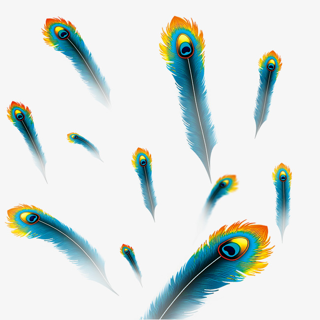 650x651 Floating Peacock Feathers, Feather, Peacock Feather, Float Png