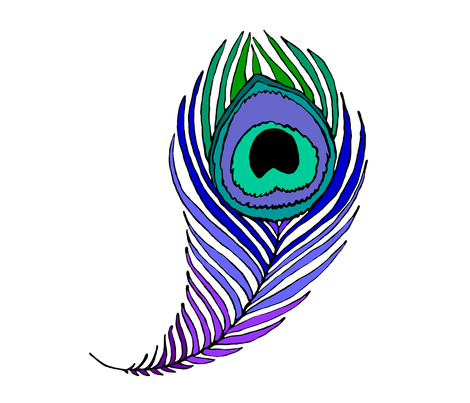 470x403 Giant Peacock Feather On White Fabric