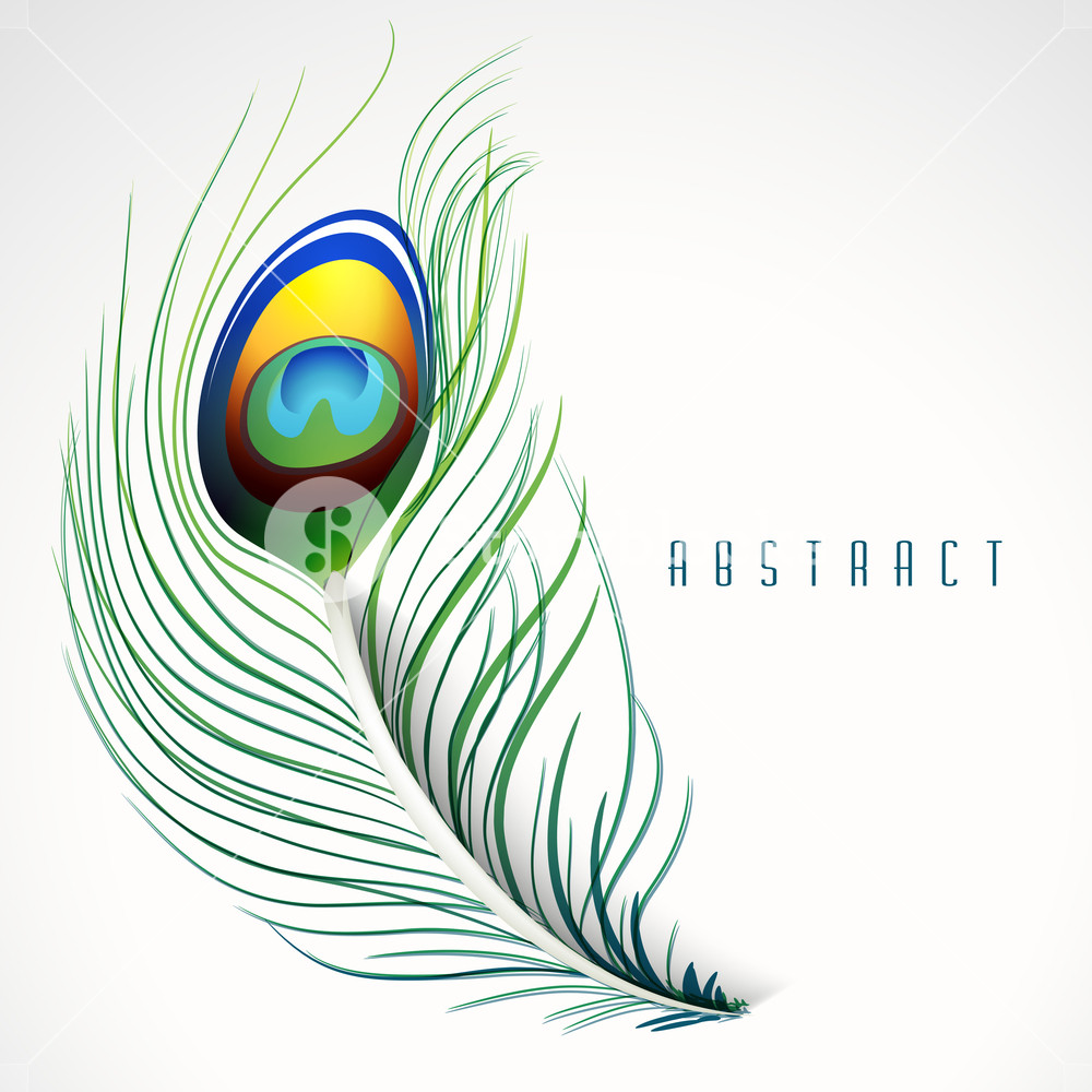 1000x1000 Peacock Inspired Abstract Feather Background In Vector Format