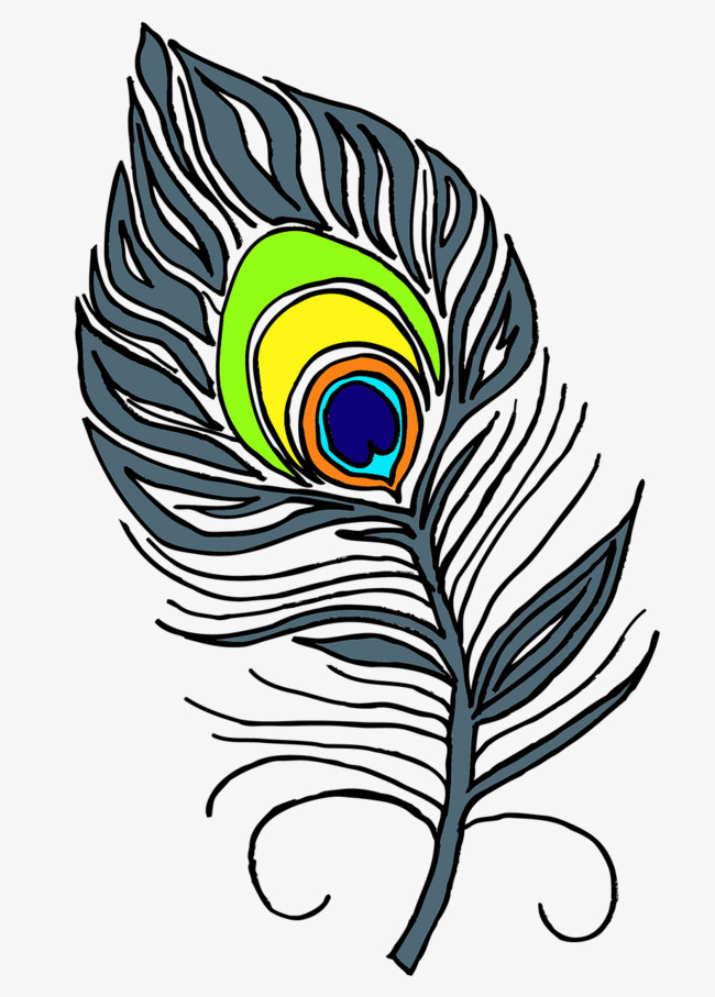 650x907 Beautiful Peacock Feathers, Fine, Peacock, Feather Png Image