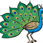 150x150 Free Peacock Clipart Image