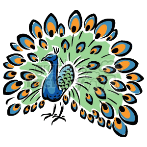 300x300 Royalty Free Colorful Peacock 129467 Vector Clip Art Image