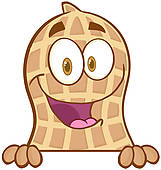 161x170 Peanut Clipart Free
