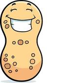 170x170 Peanut Butter Clipart Peanut Shell