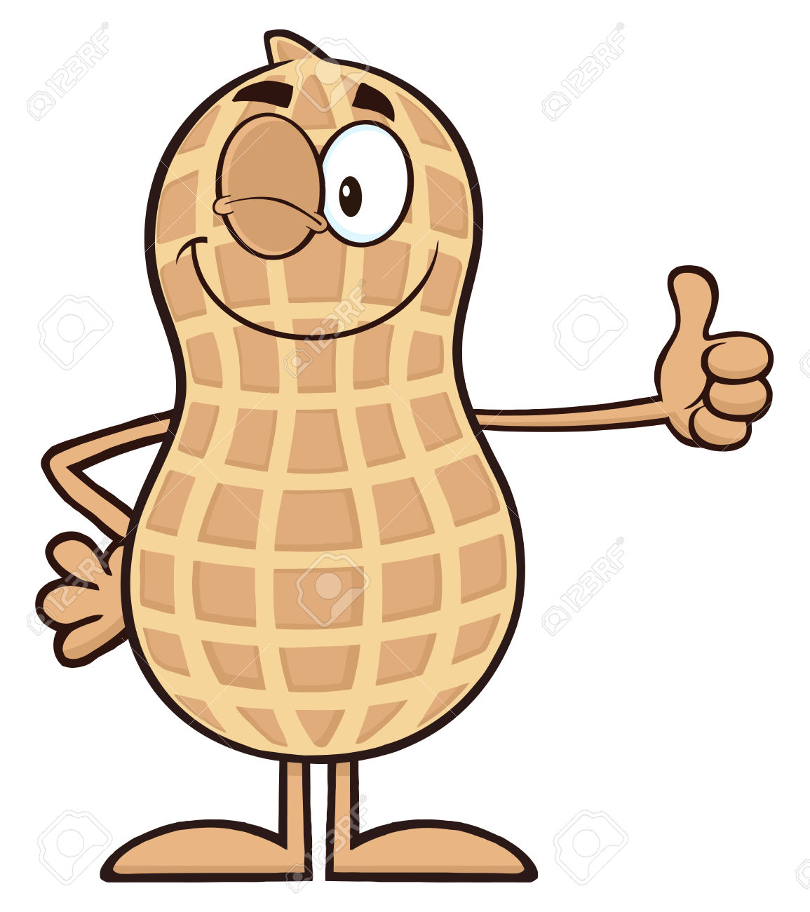 1155x1300 Peanut Clipart Groundnut