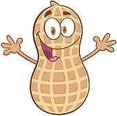 170x168 Peanut Clip Art