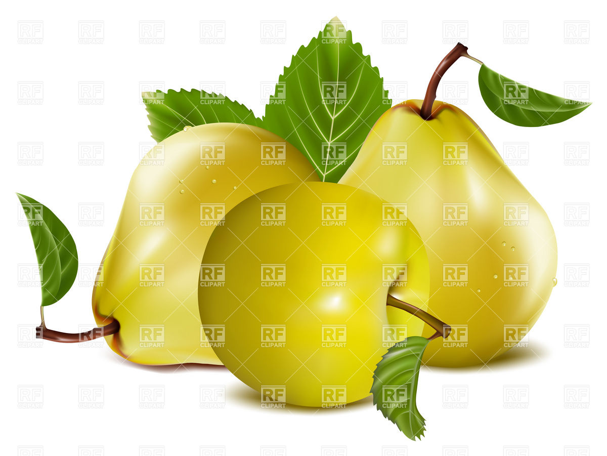 1200x901 Apple And Pears Royalty Free Vector Clip Art Image