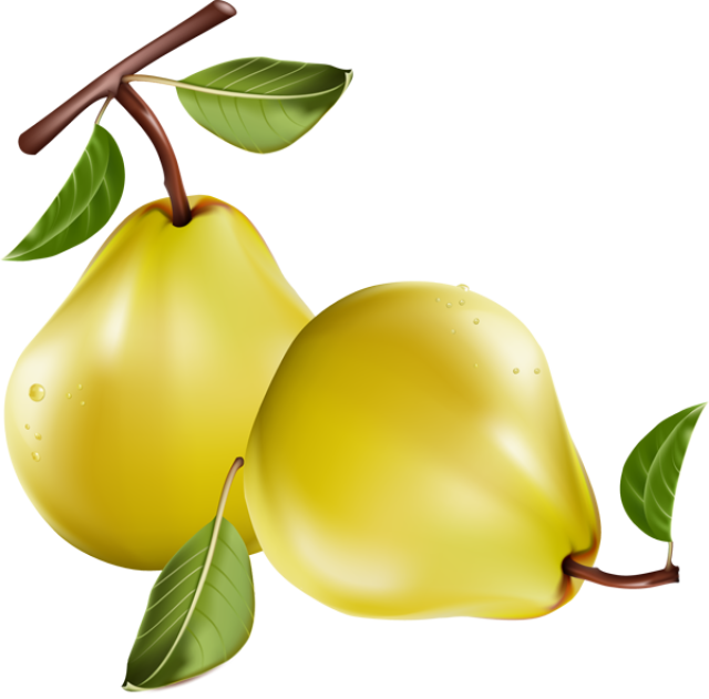640x631 Pear Clip Art