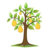 170x170 Pear Tree Clip Art
