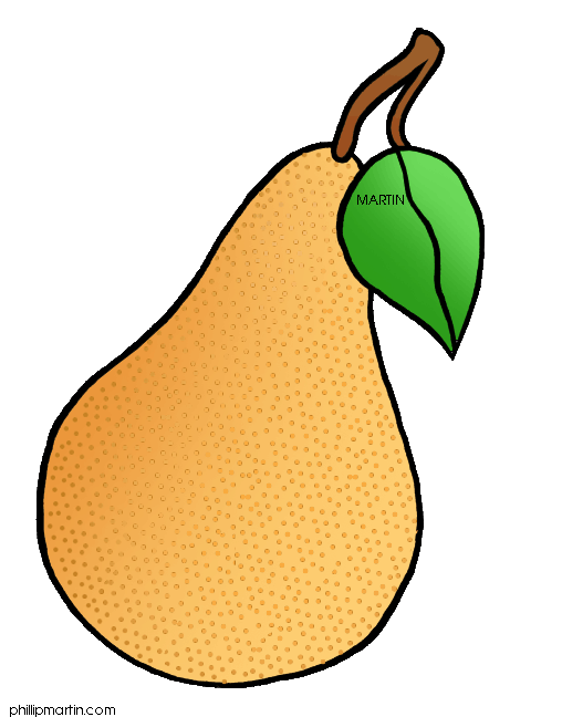 508x648 Pear Clipart Frut