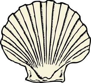 300x275 Mussels Clipart Clam Shell