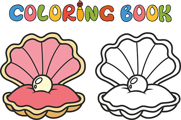 612x406 Pearl Clipart Sea Shell