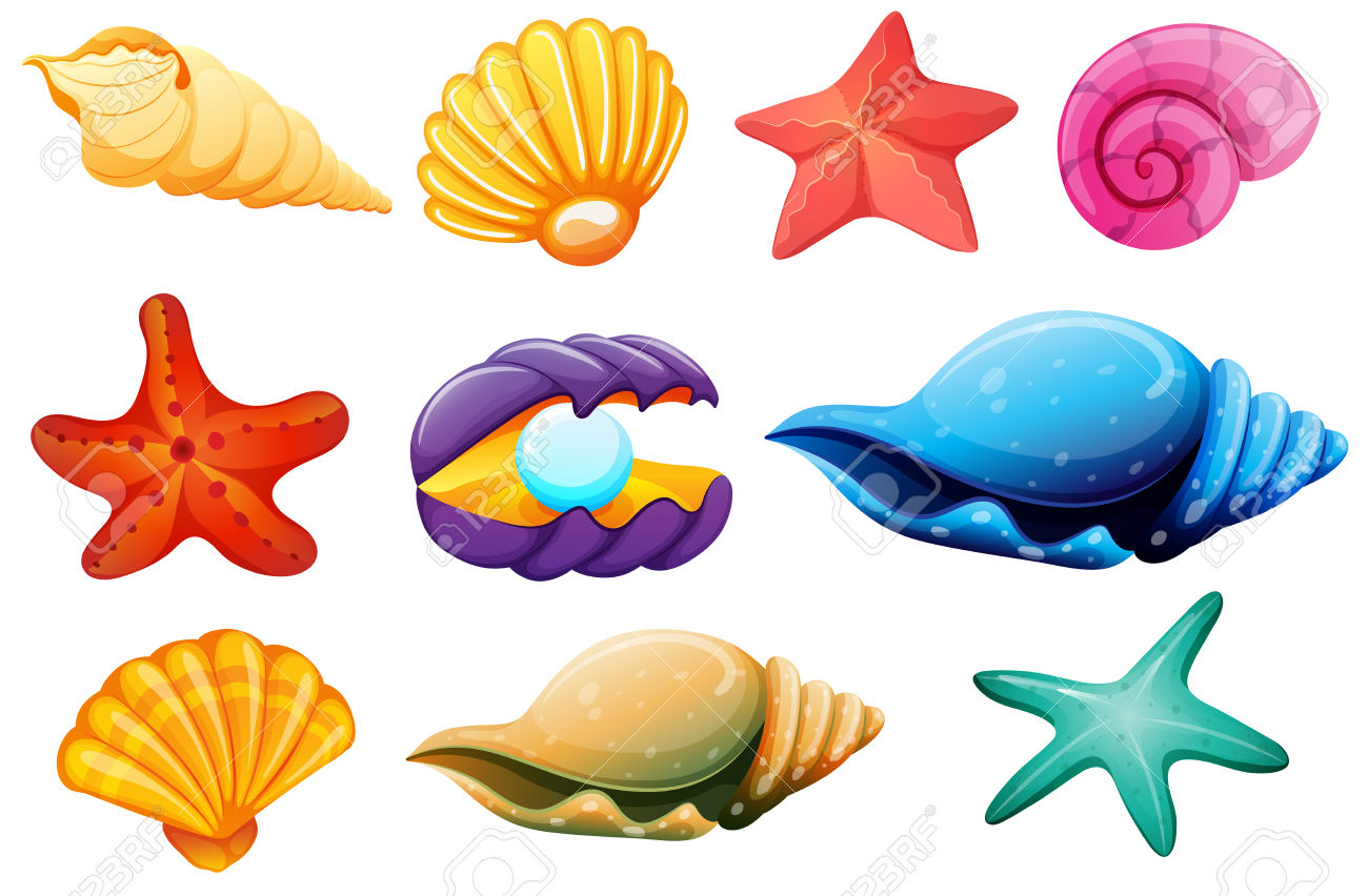 1300x852 Pearl Seashell Clipart, Explore Pictures