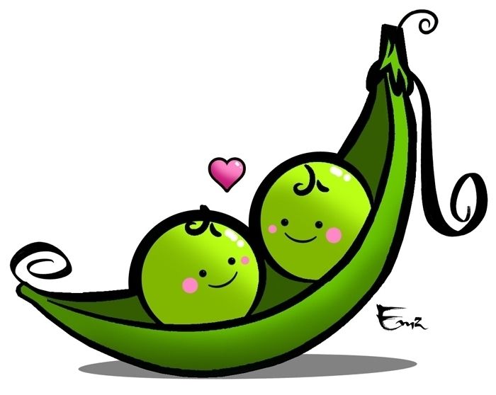 700x558 Fruit Pod Clipart
