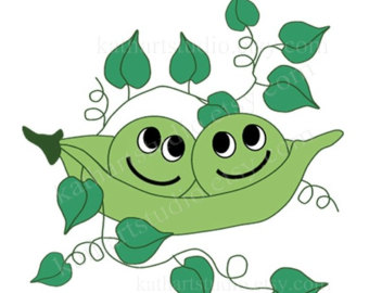 340x270 Pea In A Pod Clipart Etsy