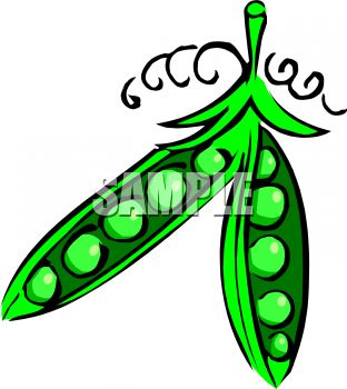 312x350 Royalty Free Clip Art Image Cartoon Of A Pea Pod