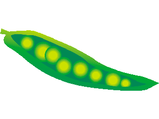 320x240 Vegetables Clipart Pea Plant