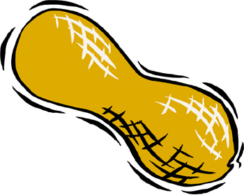 350x280 Peanut Cliparts