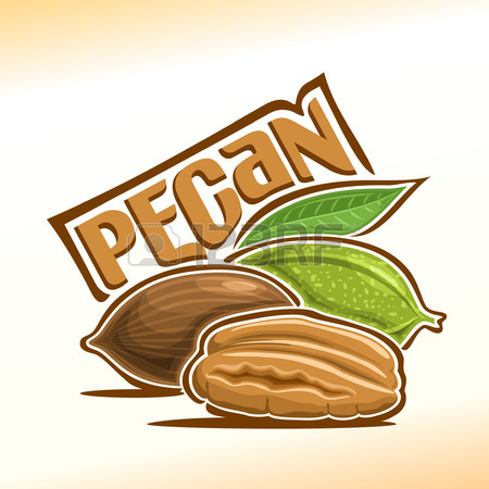 450x450 Pecan Clipart Cliparts