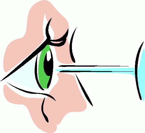 490x451 Eyeball Clipart Eye Side
