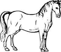 200x170 Horse Free Clipart