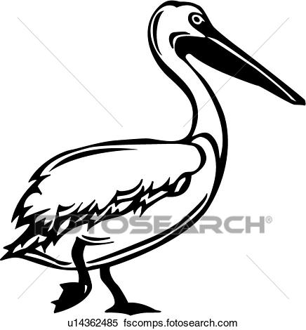 436x470 Clipart Of Pelican U14362485