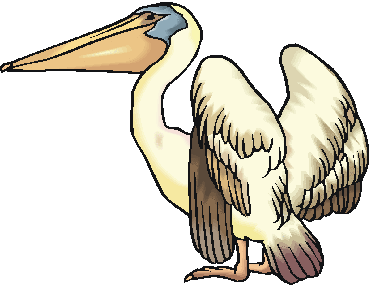 1200x921 Pelican Clipart Clipart Panda