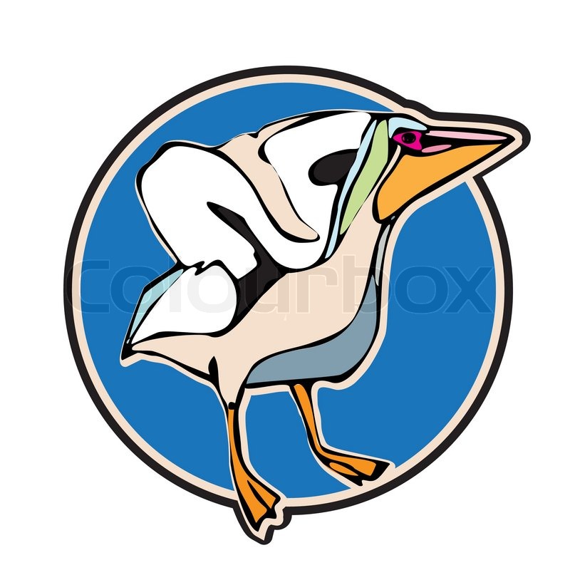 800x800 Pelican Clip Art Stock Vector Colourbox