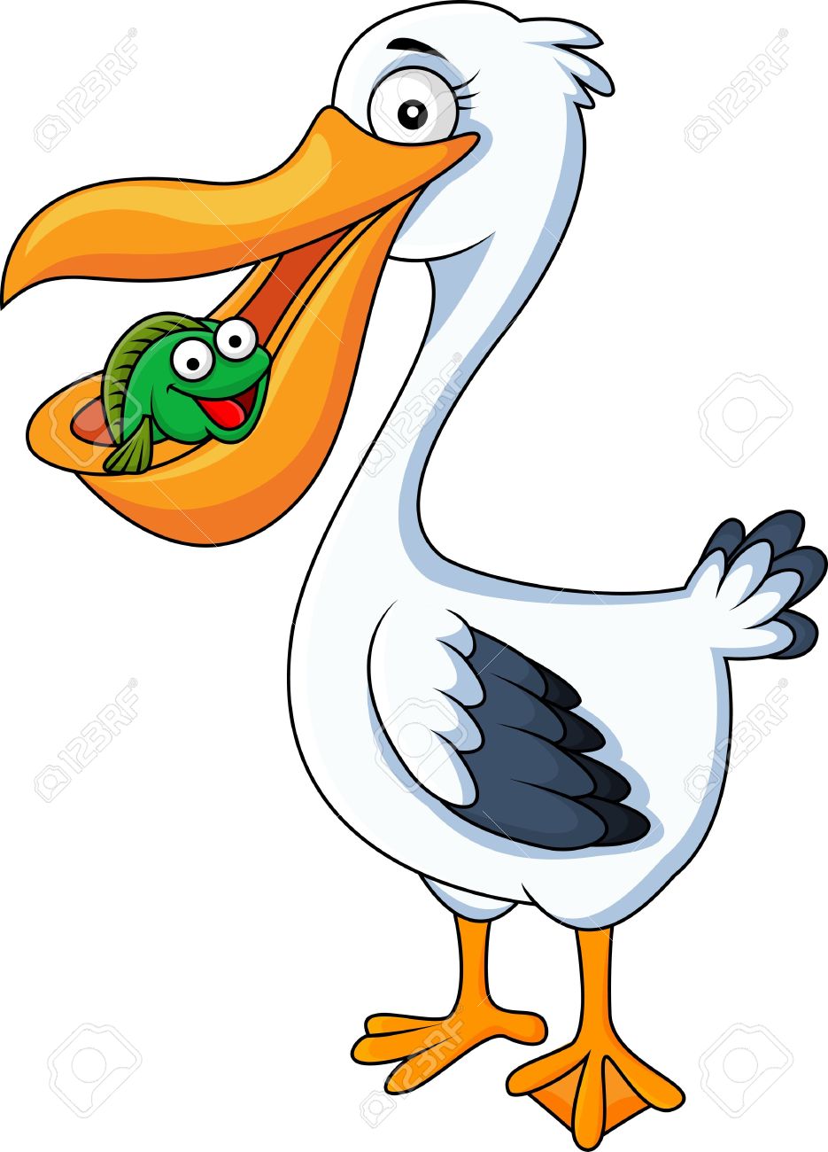 935x1300 Pelican Clipart Animated