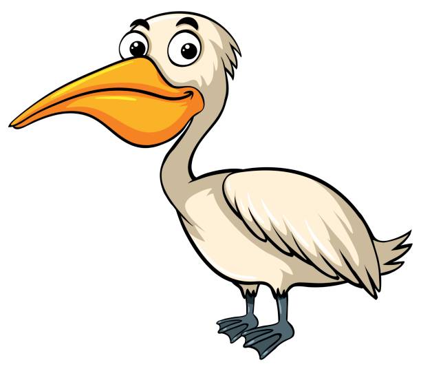 612x539 Pelican Clipart Face