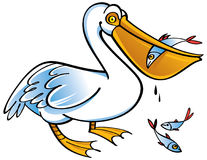 207x160 Top 79 Pelican Clipart