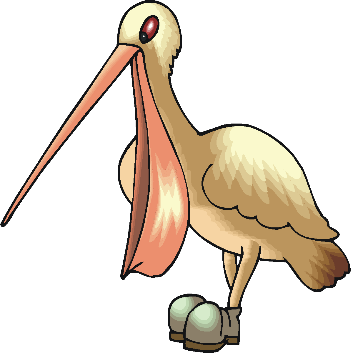 1200x1200 Top 81 Pelican Clip Art