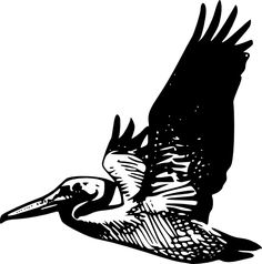 236x238 Pelican Designs Amp Borders Stencils And Clip Art