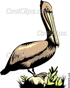 238x300 Pelican Vector Clip Art