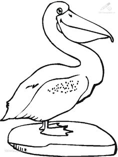 236x314 Pelican Silhouette Clip Art. Download Free Versions Of The Image