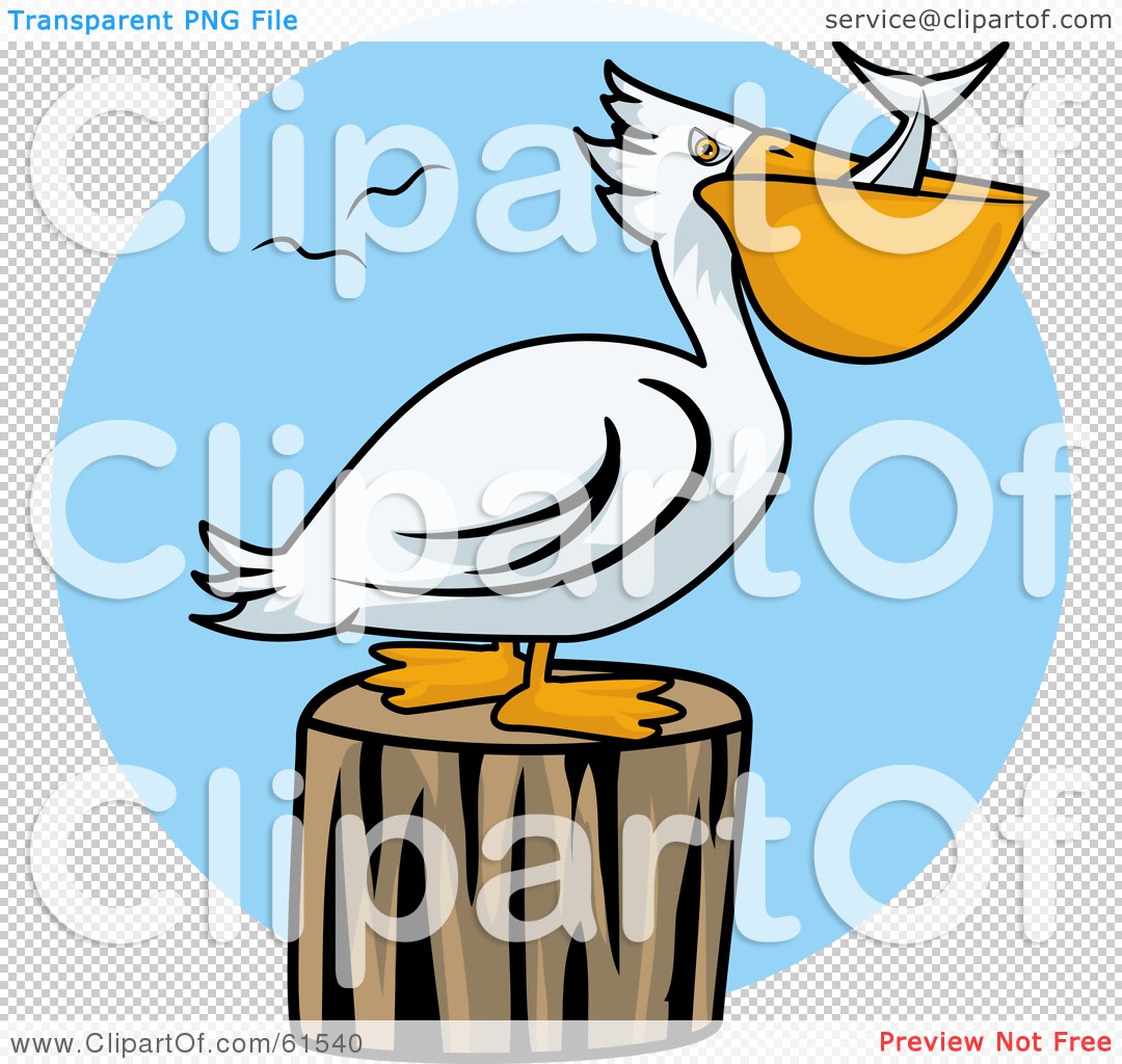 1080x1024 Royalty Free (Rf) Clipart Illustration Of A White Pelican