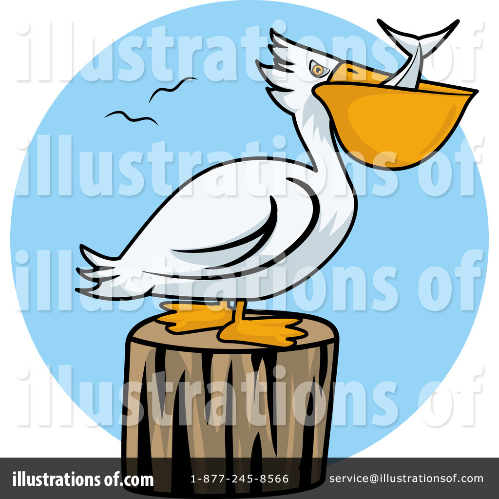 1024x1024 Top 79 Pelican Clipart