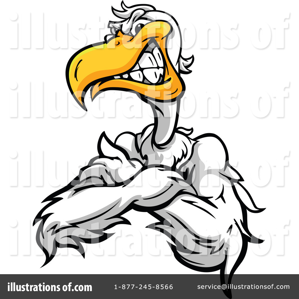 1024x1024 Top 81 Pelican Clip Art
