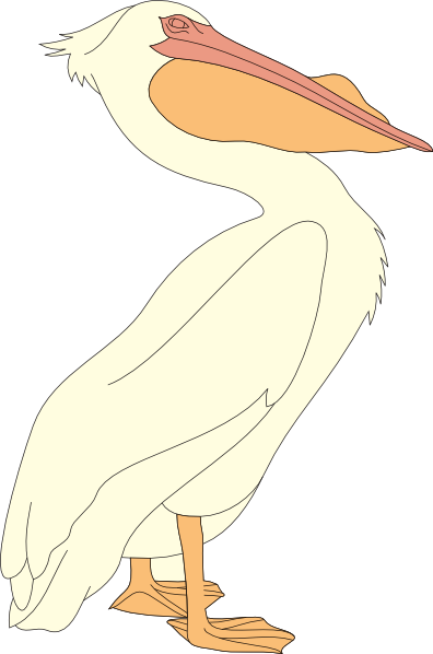 396x598 Pelican Clip Art