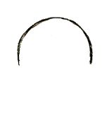 159x187 Cartoon America