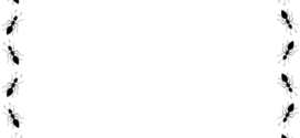 272x125 Animal Clipart Border