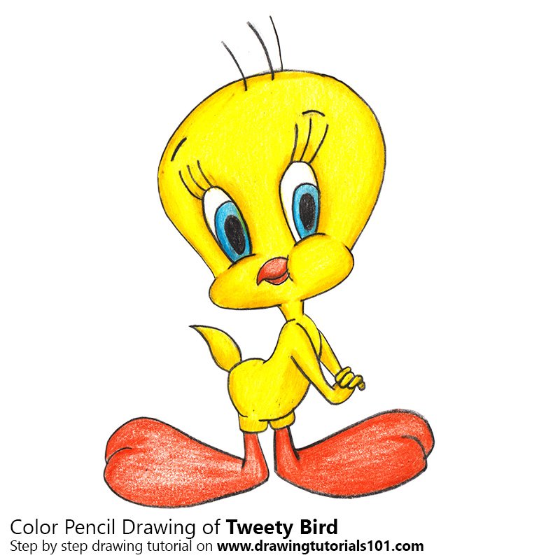 800x800 Tweety Bird Colored Pencils