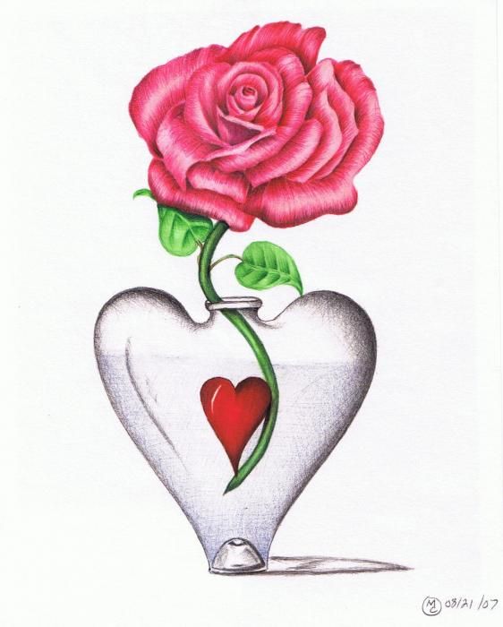 562x700 Pictures Love Rose Drawing Images,