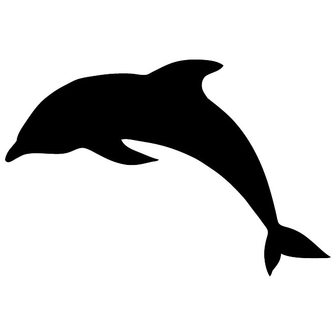 660x660 Drawn Dolphins Vector